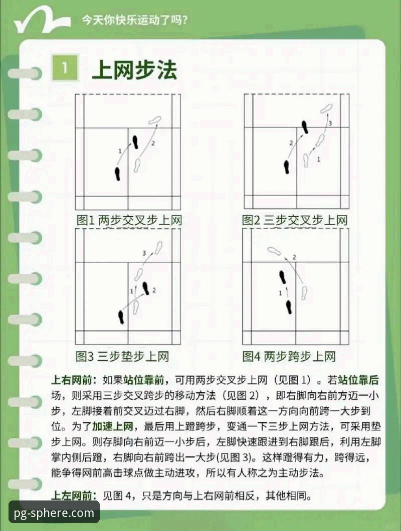 PG平台体育一步直达操作教程：从入门到精通使用指南